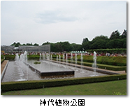 神代植物公園